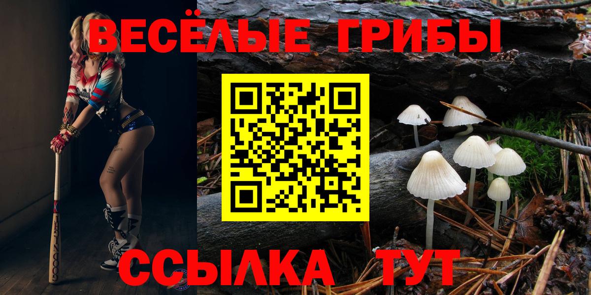 Псилоцибиновые грибы мухоморы Ахтубинск